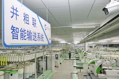 新產城·江蘇高質量發展調研行 南通向新攀高，鍛造現代工業名城硬核實力